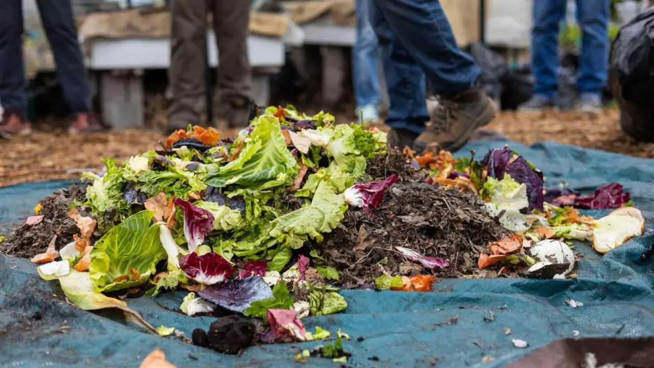How to Harvest Compost In 7 Easy Steps