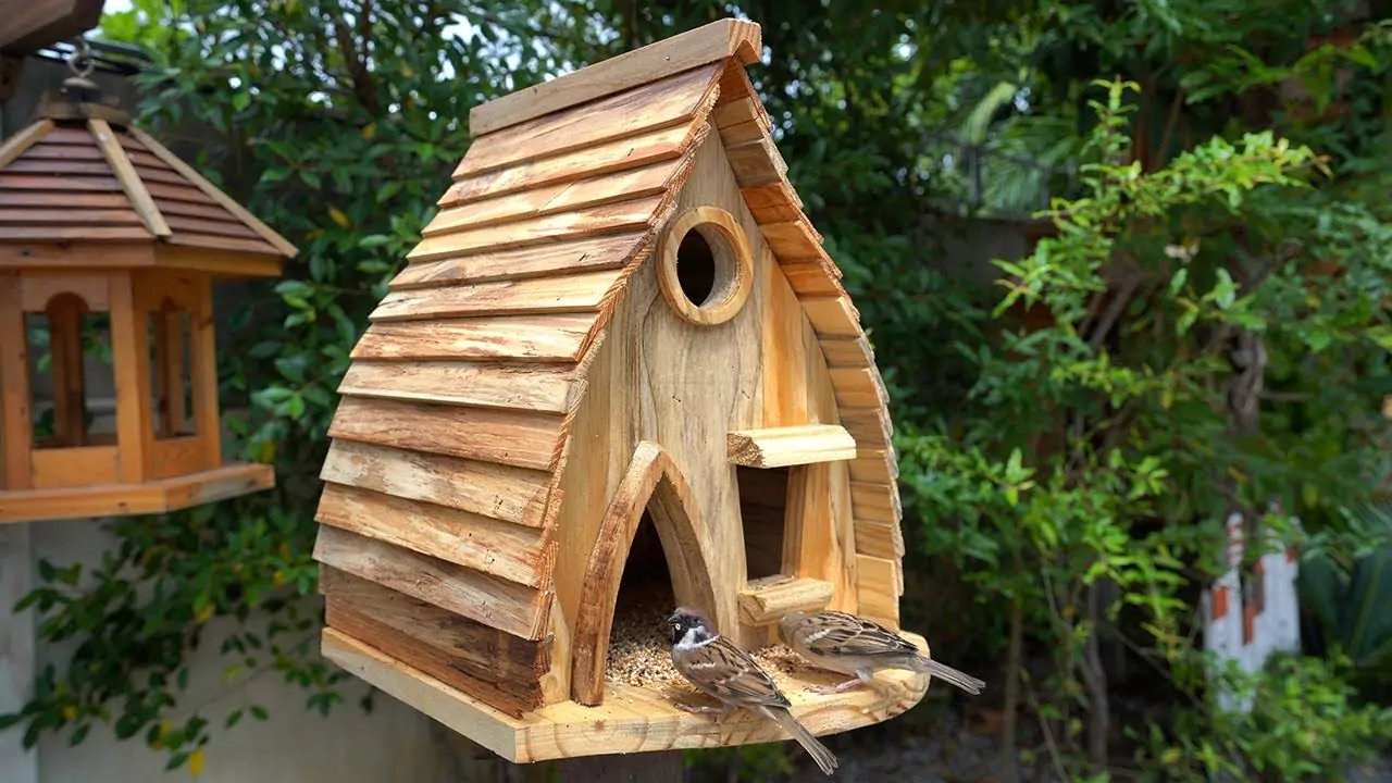 Complete Guide to Garden Bird Nest Box Size and Dimensions